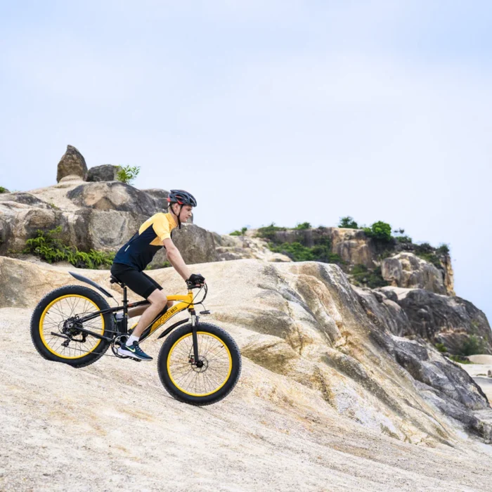 1_043ed332-c820-4a6a-acfa-bc5f69713b80