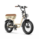 Onesport W77 - Fatbike électrique – 48V 18AH – 250W