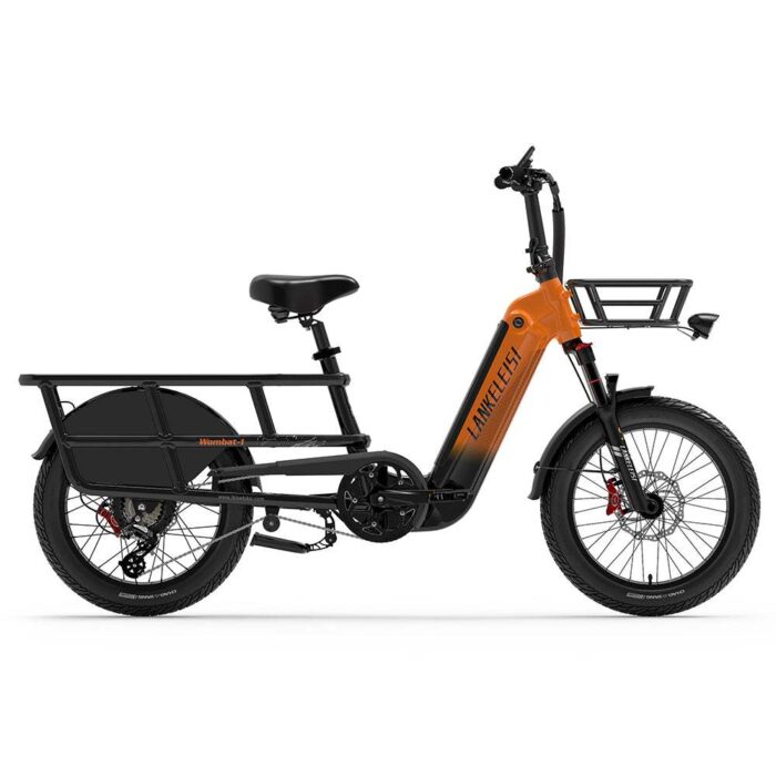 Vélo Cargo – Lankeleisi Wombat-1 1000W