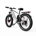 duotts-f26-750w-2-dual-motor-26-fat-bike-960wh-suv-e-bike-48v-20ah-battery-8