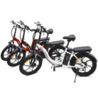 fafrees-f20-250w-20-folding-electric-bike-576wh-city-e-bike-36v-16ah-battery-14