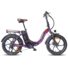 fafrees-f20-pro-250w-20-folding-electric-bike-648wh-city-e-bike-electric-bike-36v-18ah-battery-19