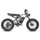 fafrees-f20-ultra-750w-20-fat-bike-1200wh-e-mountain-bike-48v-25ah-battery-e-mtb-5