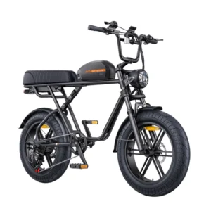 ENGWE M1 | Vélo électrique pliant 20" Fat Bike | Double batterie | Autonomie 170 km