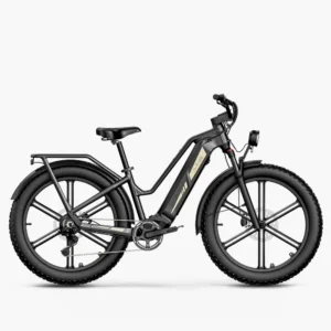 Fiido Titan Fat Tire Touring Vélo électrique - Longue portée
