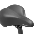 391e0a686c58758eee9f74359d73a452_36025391-3277-4127-9100-90e20df8b2e4