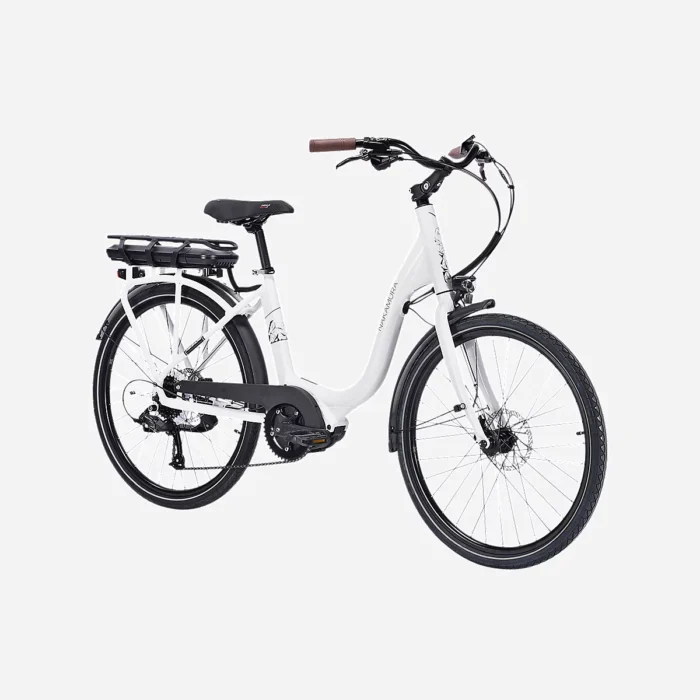Vélo de ville électrique adulte NAKAMURA E-City 170
