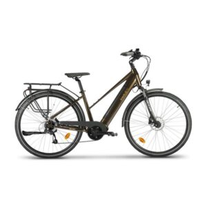 Vélo de ville électrique mixte Feu Vert Gravit-E 95 bronze