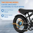 colorwayebike-bk29g-france_8