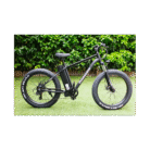 velo-electrique-velobecane-fatbike (1)