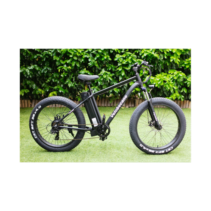velo-electrique-velobecane-fatbike (1)