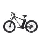 velo-electrique-velobecane-fatbike