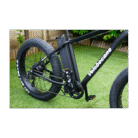 velo-electrique-velobecane-fatbike (2)