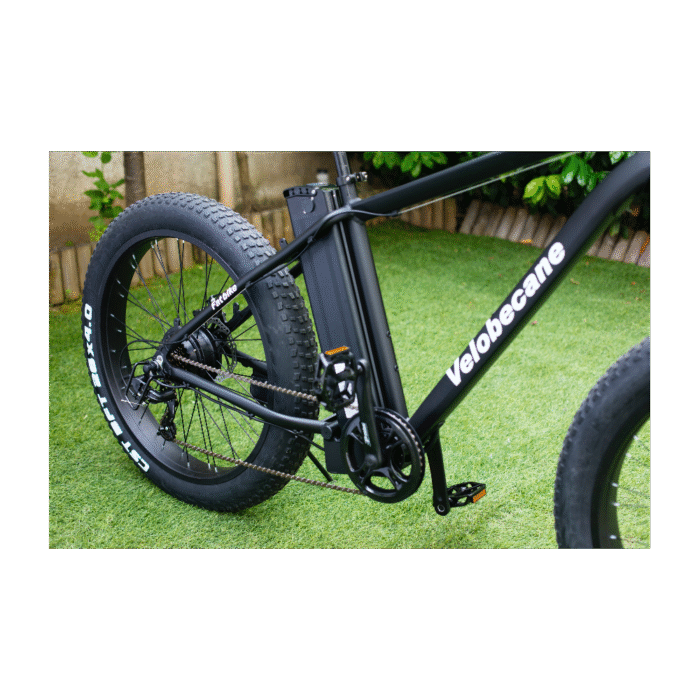 velo-electrique-velobecane-fatbike (2)