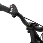 velo-pliant-electrique-wayscral-takeaway-e100-20-vert--71591_20_1__resultat-800x800