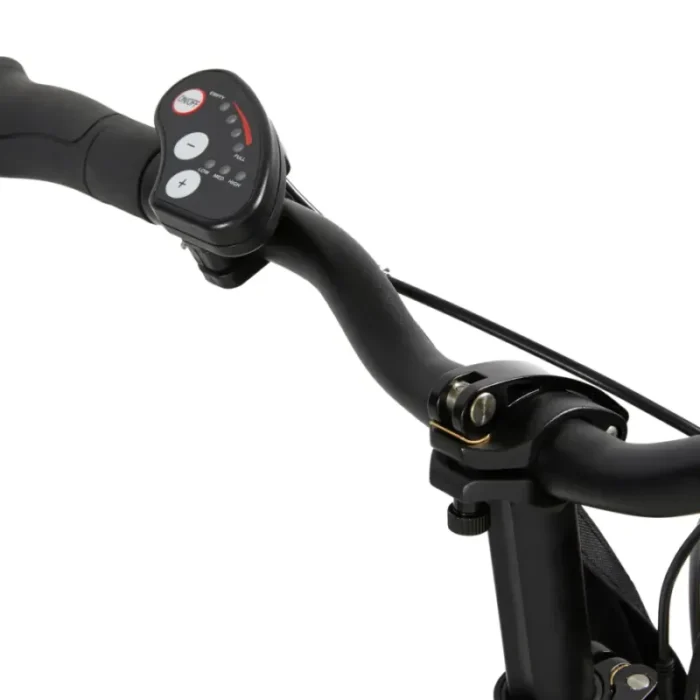 velo-pliant-electrique-wayscral-takeaway-e100-20-vert--71591_20_1__resultat-800x800