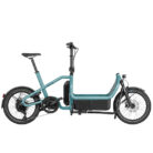 Vélo cargo électrique Riese & Müller Carrie Touring