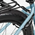 Colibri-Zoom-Antivol@2x