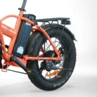 IMG_2865-Photoroom_1220x_crop_center