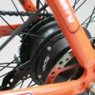 IMG_2873-Photoroom_1220x_crop_center