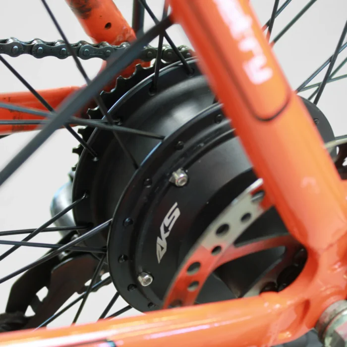 IMG_2873-Photoroom_1220x_crop_center