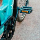 dielsrasam-03699-copie-2-scaled