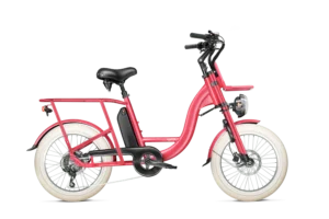 Vélo Cargo Gaya Le Compact