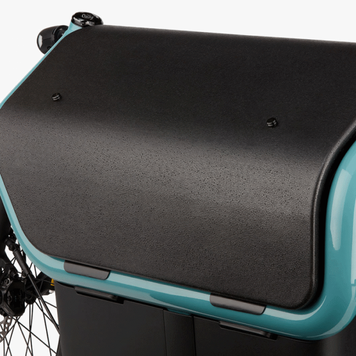 velo-cargo-electrique-biporteur-riese-und-muller-carrie-touring (1)