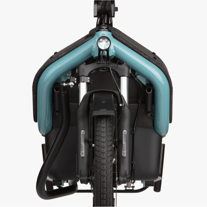 velo-cargo-electrique-biporteur-riese-und-muller-carrie-touring (3)