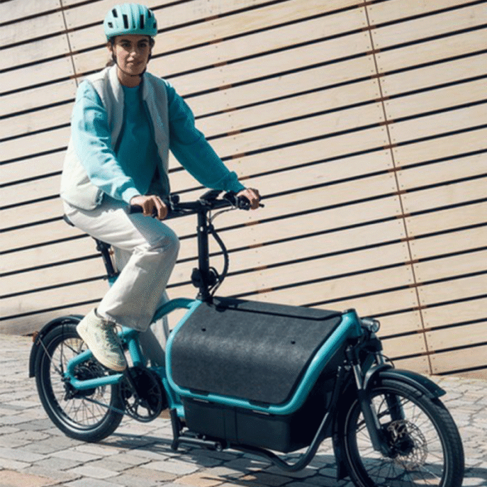 velo-cargo-electrique-biporteur-riese-und-muller-carrie-touring (4)