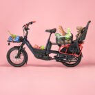 velo-cargo-electrique-cannondale-cargowagen-neo-1 (5)