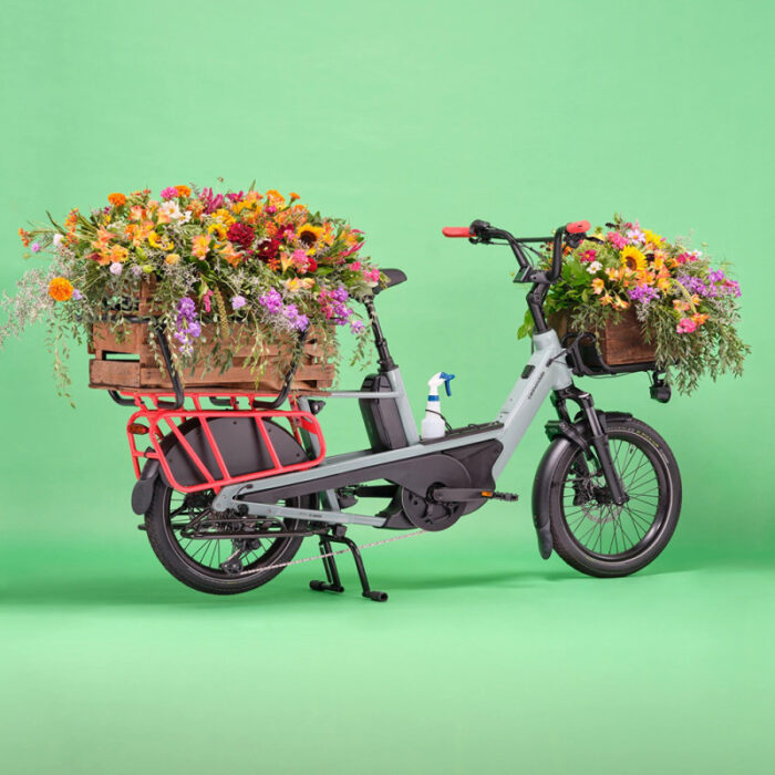 velo-cargo-electrique-cannondale-cargowagen-neo-2 (8)