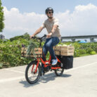 velo-cargo-electrique-longtail-tern-quick-haul-p9 (14)