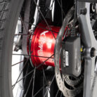 velo-cargo-electrique-tern-gsd-r14-2025 (4)