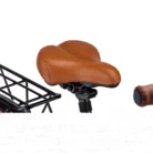 velo-electrique-cityzen-noir (10)