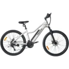 VTT électrique Wegoboard V18