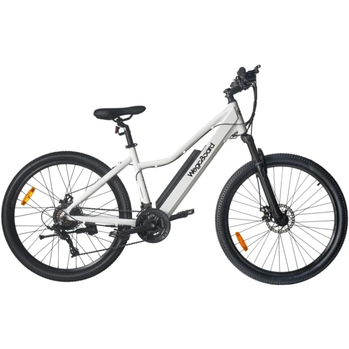 VTT électrique Wegoboard V18