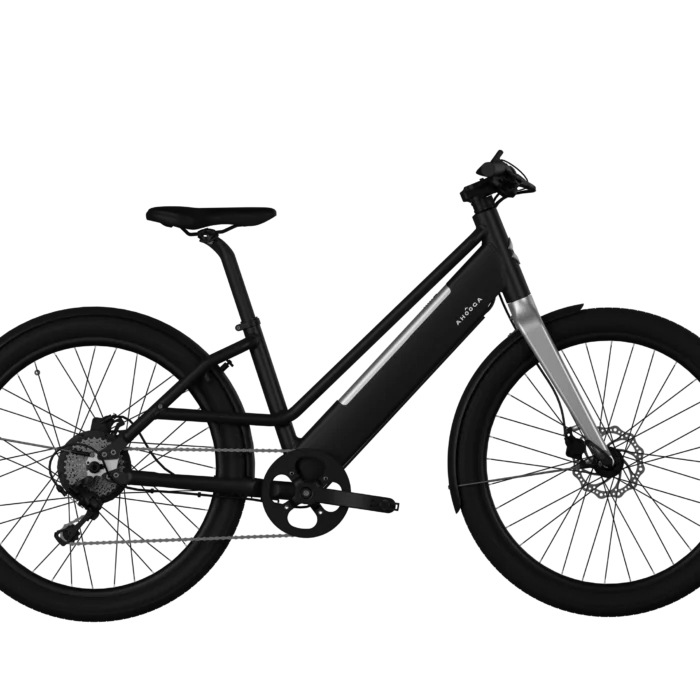  Vélo Cargo électrique Ahooga Modular