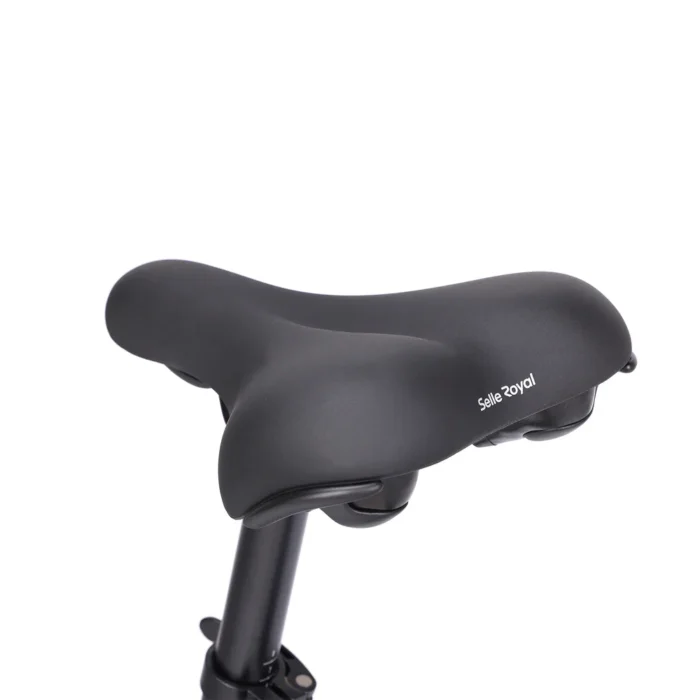 EleglideElectricTrekkingBikeC1ST_10