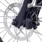 Paris-front-disc-brake