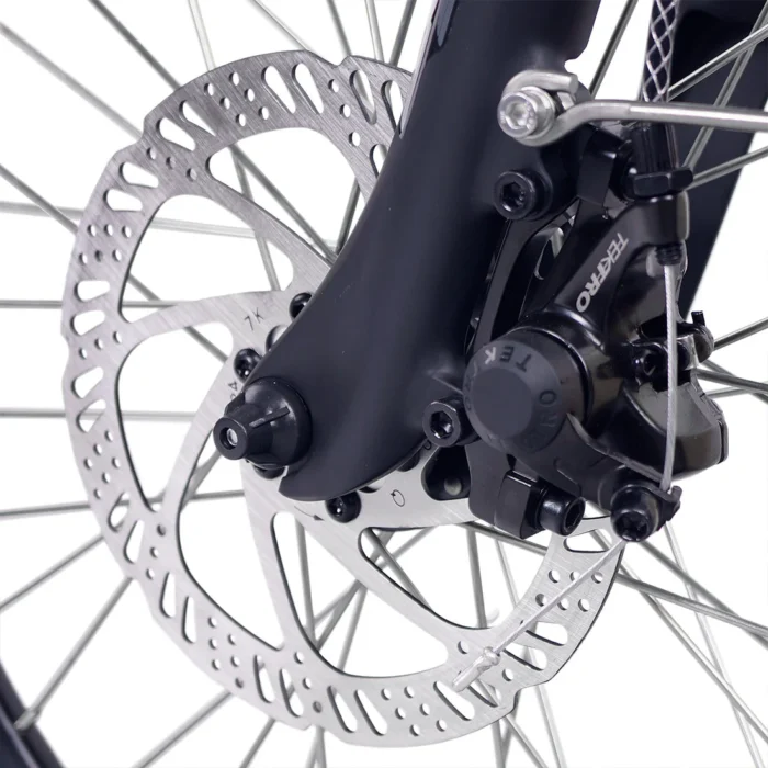 Paris-front-disc-brake