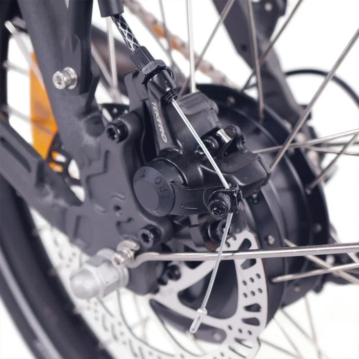 Paris-rear-disc-brake